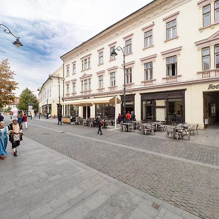 City Spirit Studio - Piata Mare & Balcescu View Sibiu Exterior photo
